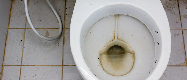Leaving toilets dirty