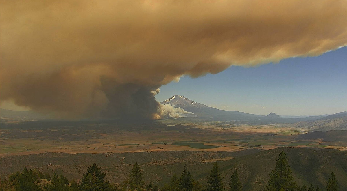 Climate-damaging behavior